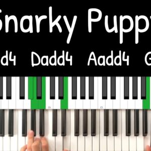 Snarky Puppy - "Lingus"